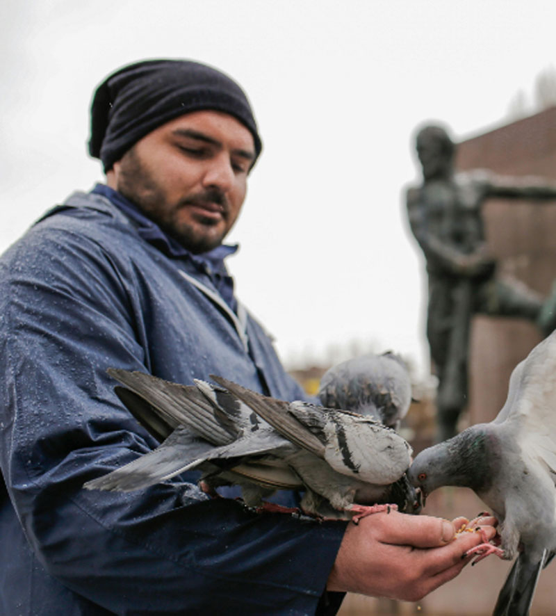 volunteer-photo Man feeding pigeon